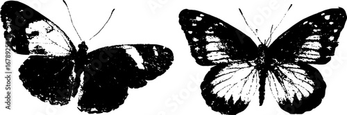 Black and white butterfly stencil set for creative design projects
