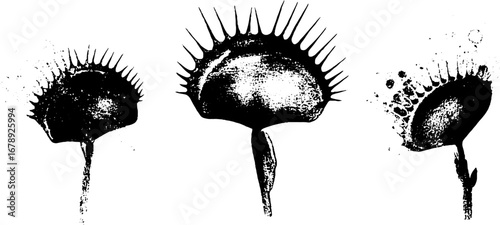 Black and white stencil art of carnivorous plants collection for creative design