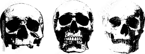 Black and white skull stencil illustration collection for artistic design and decoration