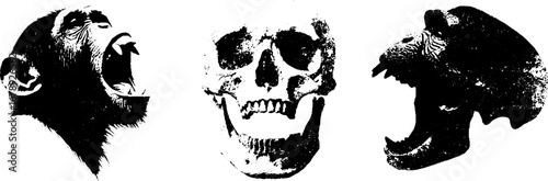 Black and white stencil art set of chimpanzee and skull illustrations for creative designs