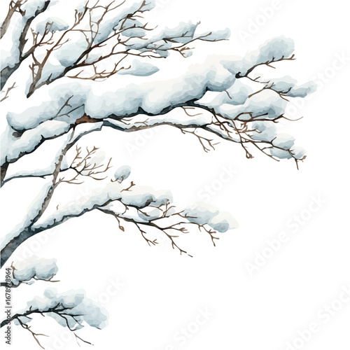 Snow-covered Branches Closeup, watercolor illustration vector, isolated on a white background.