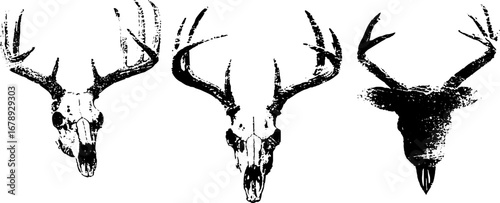 Black and white stencil deer skull collection for creative design projects