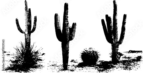 Black and white desert cactus stencil collection for urban art design