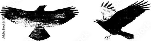 Black and white eagle stencil illustrations set for design projects