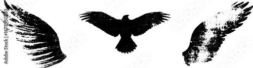 Black and white stencil set of bird silhouettes with wings in flight for creative design