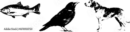 Black and white stencil illustration set of fish, bird, and dog for creative designs