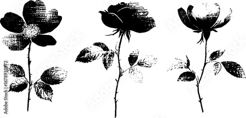 Black and white floral stencil set for artistic design and decoration