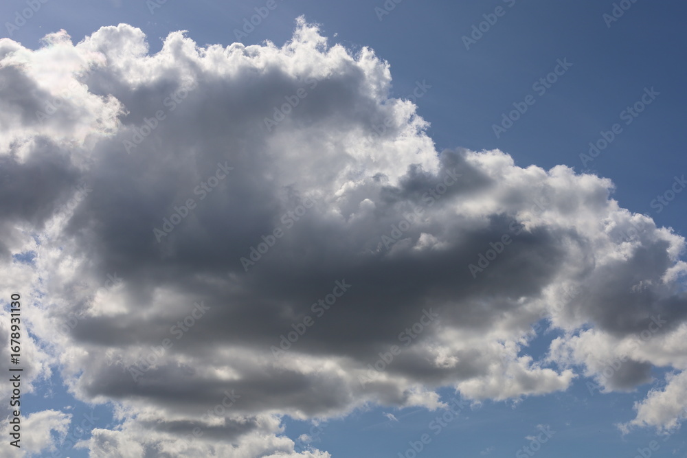 Obraz premium Large Clouds Floating in a Blue Sky