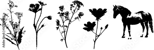 Black and white folk art stencil set: nature and horse silhouette designs
