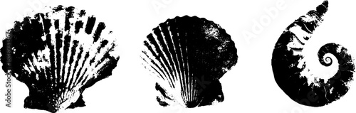 Black and white fossil shell stencil set for artistic design and print