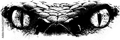 Black and white stencil illustration of gorgon eyes for creative design