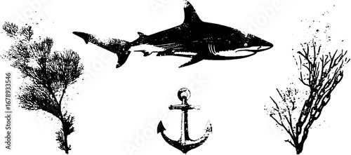 Nautical black and white stencil set with shark anchor and seaweed elements for design