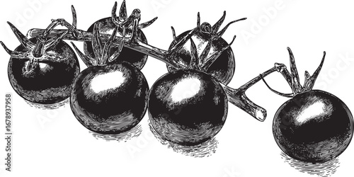 Cherry tomato illustration on white background. This vector illustration can be used in any size you like for advertising, logos, and other work.