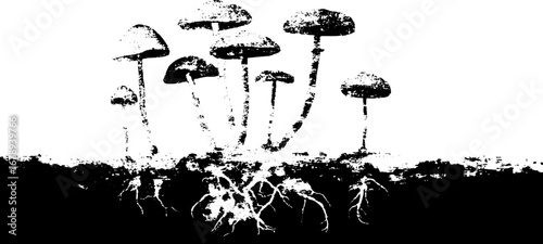 Black and white stencil mushroom collection for art and design projects