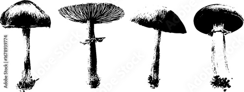 Black and white mushroom stencil set for creative design and decor