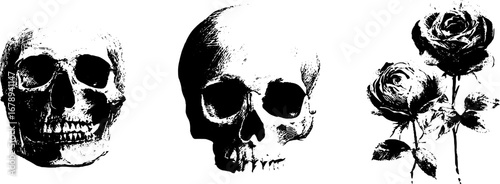 Black and white skull and rose stencil illustrations for creative design projects