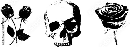Black and white stencil collection of skull and roses for creative decor