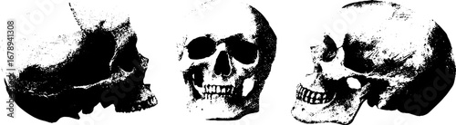 Black and white skull stencil set for design and decoration