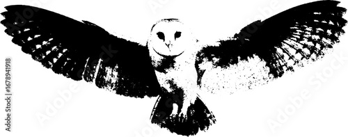 Black and white owl stencil illustration collection for designs