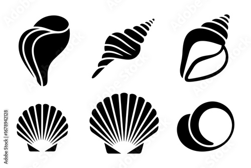Silhouette  of seashells  ocean mollusk