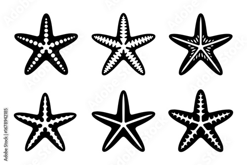silhouette of different starfish sea star