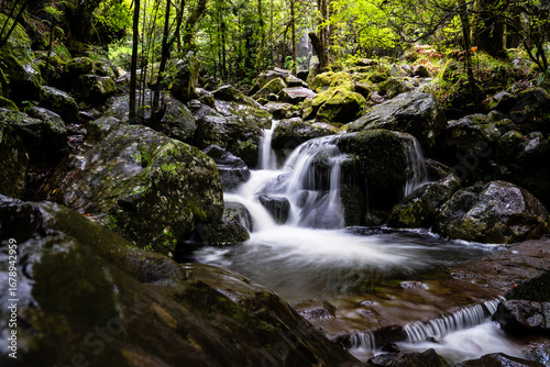 Madeira Feenwald 3