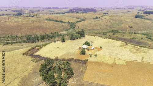 Aerial view of sun-scorched fields meet verdant trees, embracing a humble dwelling under a hazy sky, Njawai, Taraba, Nigeria.