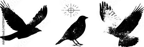 Black and white rune bird silhouettes with nordic symbol for art and design projects