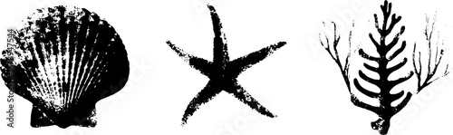 Black and white sea life stencil collection - shell, starfish, seaweed design
