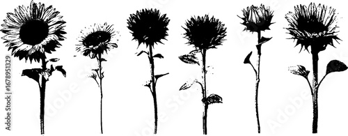 Black and white sunflower stencil collection for creative design