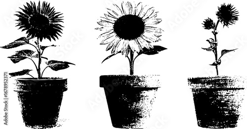 Monochrome sunflower pot plant designs for artistic decor and craft projects