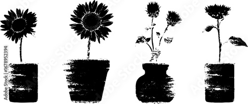 Black and white sunflower stencil collection for urban art designs