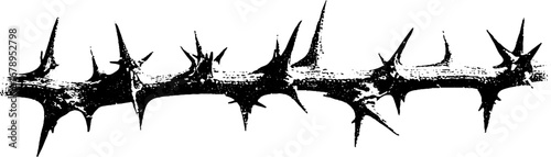 Black and white thorn stencil illustration set for creative design and decoration