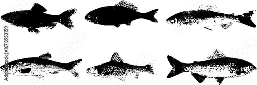 Black and white stencil fish collection for marine themed designs