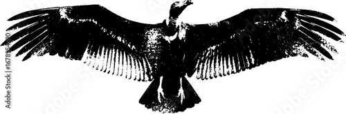 Black and white vulture stencil silhouette illustration for design collection