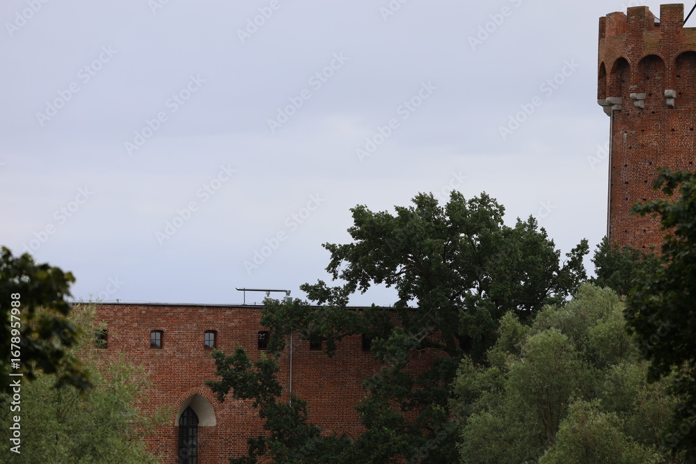 Fototapeta premium Teutonic castle in Swiecie Poland medieval fortress architecture