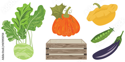 Market vegetable set, Farm produce clipart, Harvest vegetable pack