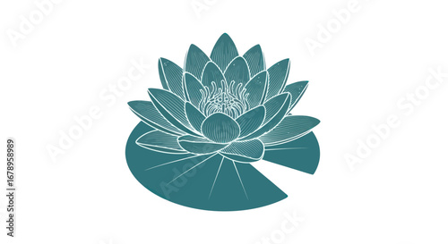 Detailed Teal Water Lily Botanical Illustration.