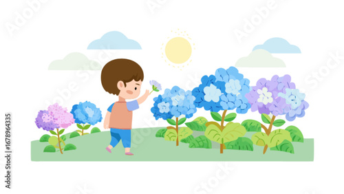 Illustration of boy smelling flowers in garden with hydrangeas and sun summer scene vector