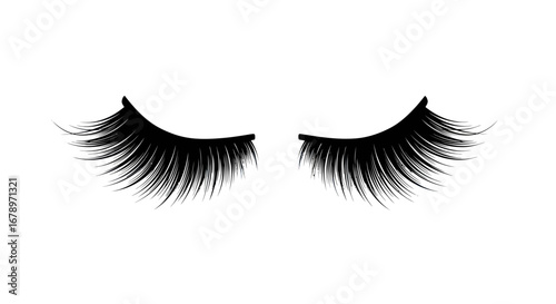 Close-up of Black False Eyelashes.