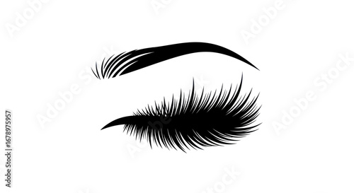 Closeup of a perfectly shaped eyebrow and long thick eyelashes.