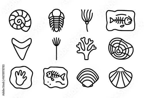 Ocean Fossil Icons. Outline icon set of Ocean fossils: ammonite, trilobite, sea lily, fossil fish, shark tooth