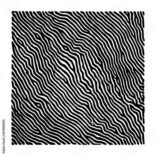 Abstract black and white line art pattern vector design for modern background wallpaper and print 100 char