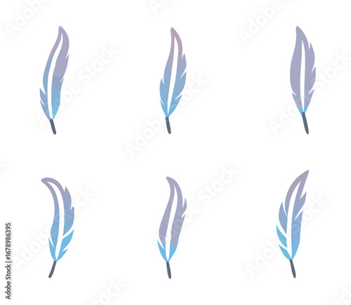 feathers set colorful for your design. logo template