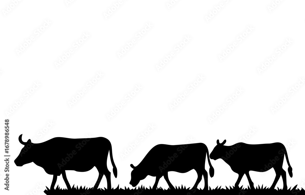 Obraz premium Silhouette of a cow. of farm animals cows 