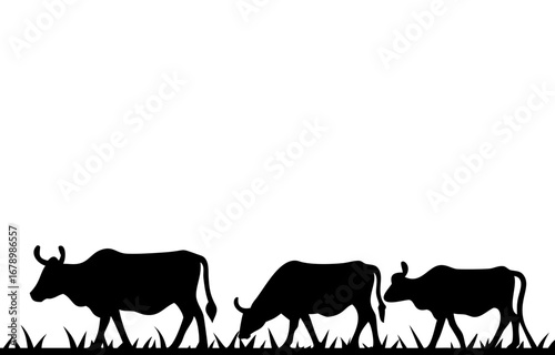 Silhouette of a cow. of farm animals cows 