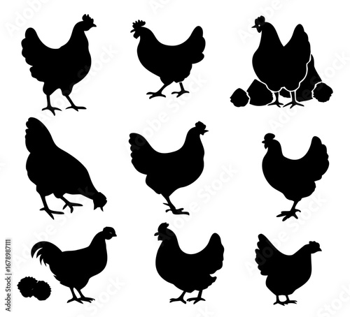 hen chicken icon set. chicken silhouettes, vector Illustration