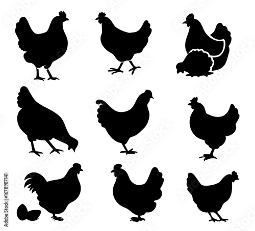 hen chicken icon set. chicken silhouettes, vector Illustration