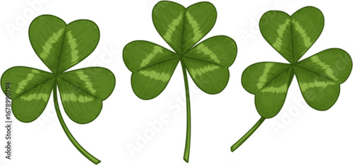 Good luck four leaf clover flat icon set isolated on transparent background.
