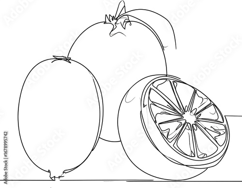 Continuous line drawing of citrus fruits (1)